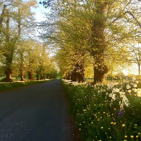 בית הארחה The Garden At Snape Castle Mews 5*