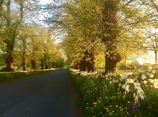Guest house The Garden At Snape Castle Mews 5*